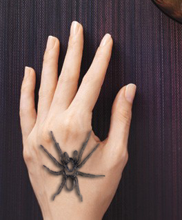 How a spider dream helped a woman end a bad relationship