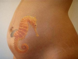 pregnant_stomach