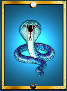 snake copy_sm