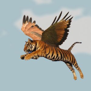 tigerhawk